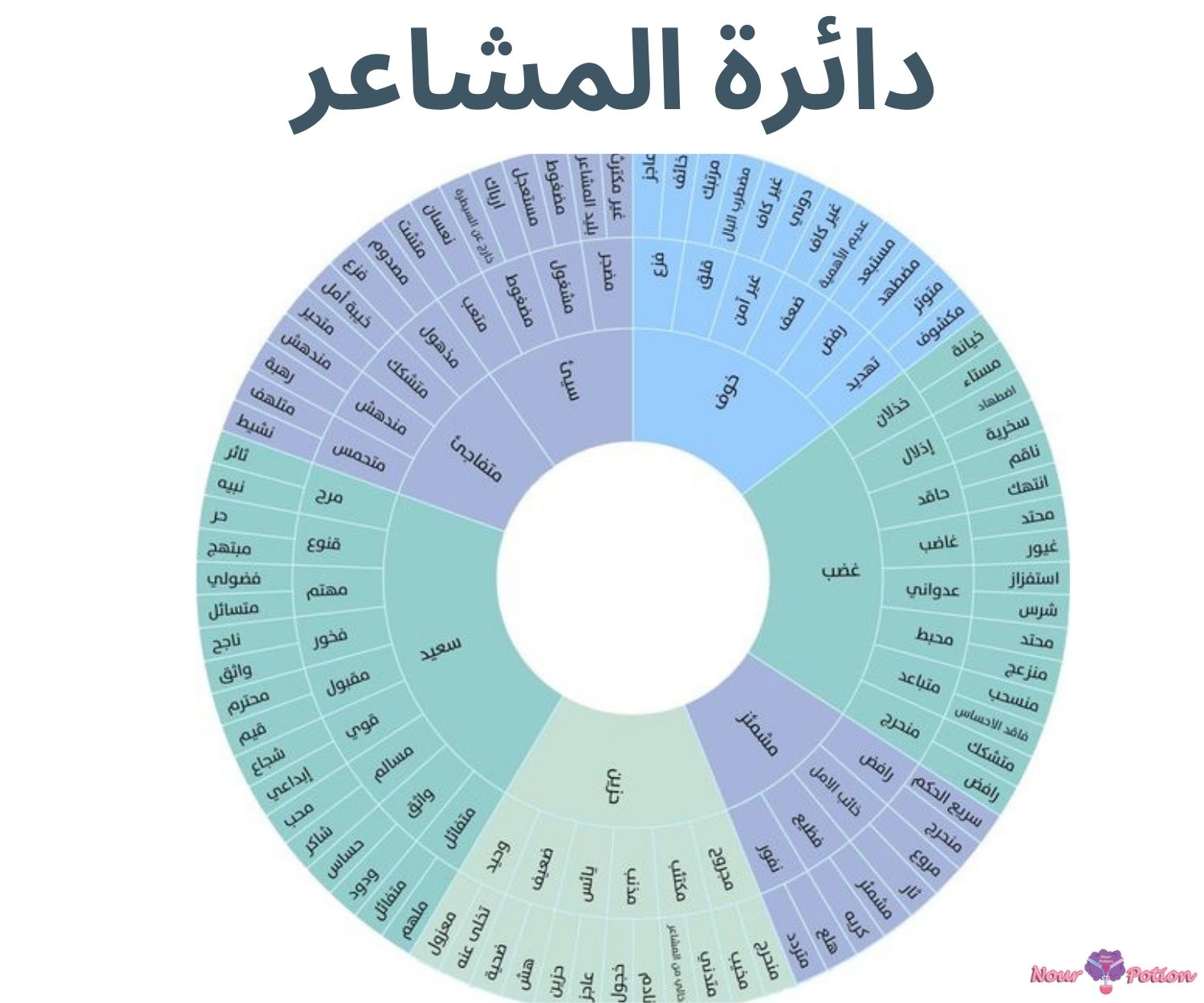 معني دائرة المشاعر؟